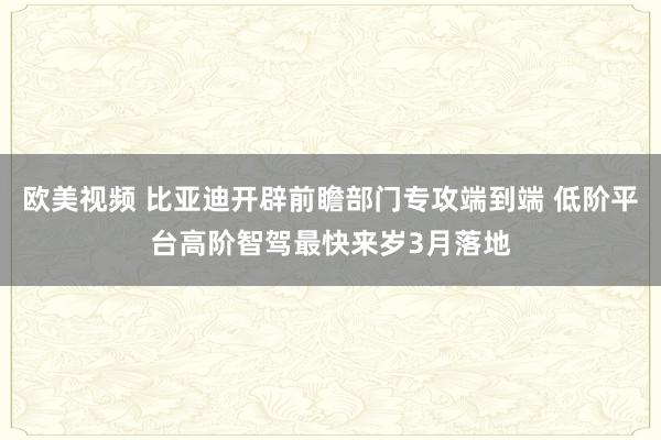 欧美视频 比亚迪开辟前瞻部门专攻端到端 低阶平台高阶智驾最快来岁3月落地