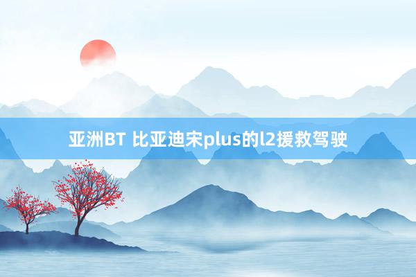 亚洲BT 比亚迪宋plus的l2援救驾驶