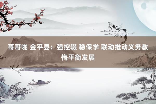 哥哥啪 金平县：强控辍 稳保学 联动推动义务教悔平衡发展