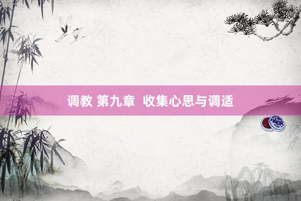 调教 第九章  收集心思与调适