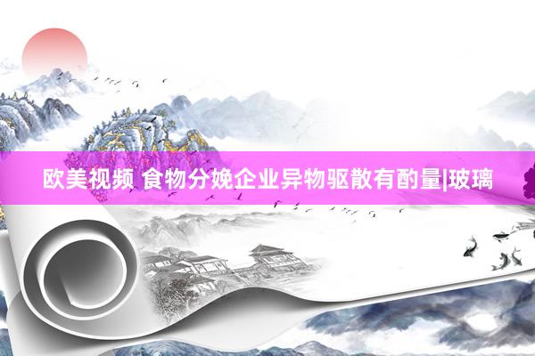 欧美视频 食物分娩企业异物驱散有酌量|玻璃