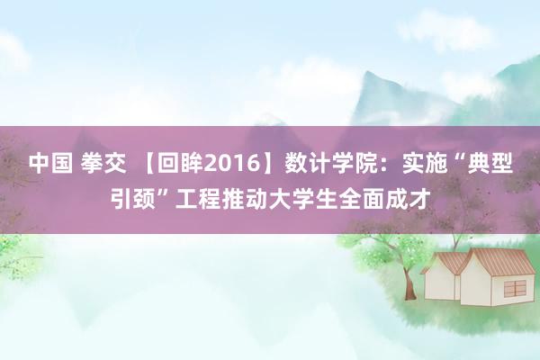 中国 拳交 【回眸2016】数计学院：实施“典型引颈”工程推动大学生全面成才