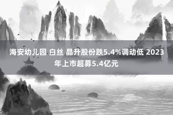 海安幼儿园 白丝 晶升股份跌5.4%调动低 2023年上市超募5.4亿元