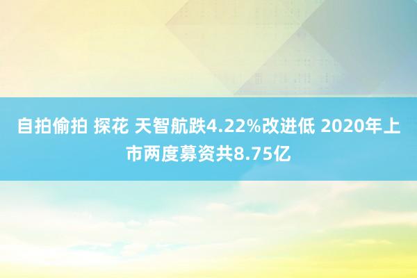 自拍偷拍 探花 天智航跌4.22%改进低 2020年上市两度募资共8.75亿