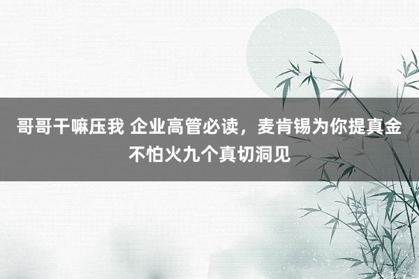 哥哥干嘛压我 企业高管必读，麦肯锡为你提真金不怕火九个真切洞见