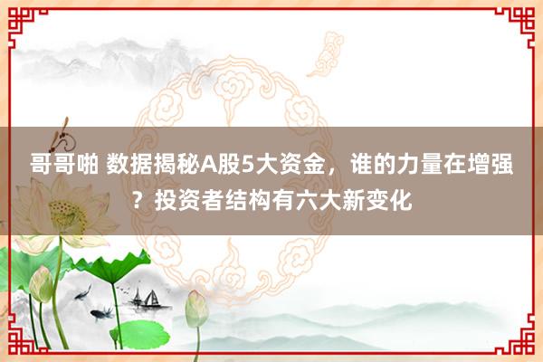 哥哥啪 数据揭秘A股5大资金，谁的力量在增强？投资者结构有六大新变化