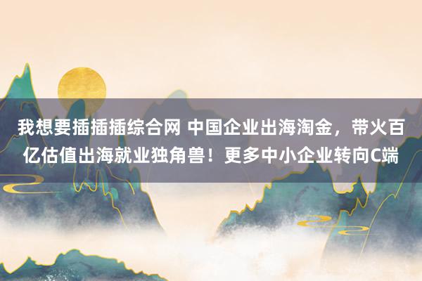 我想要插插插综合网 中国企业出海淘金，带火百亿估值出海就业独角兽！更多中小企业转向C端