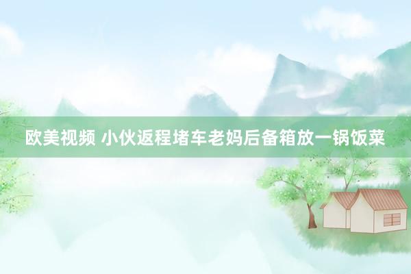 欧美视频 小伙返程堵车老妈后备箱放一锅饭菜