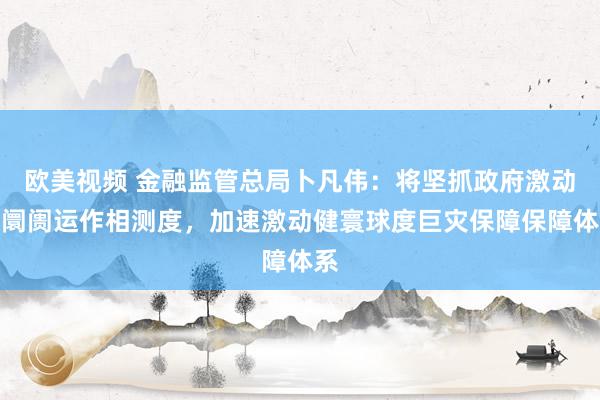 欧美视频 金融监管总局卜凡伟：将坚抓政府激动与阛阓运作相测度，加速激动健寰球度巨灾保障保障体系