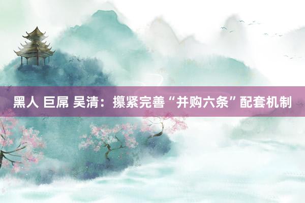 黑人 巨屌 吴清：攥紧完善“并购六条”配套机制