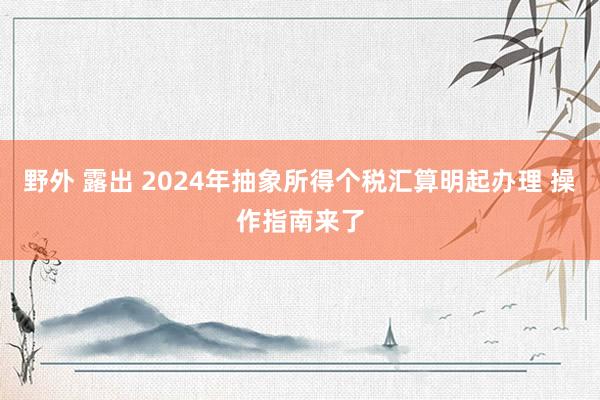 野外 露出 2024年抽象所得个税汇算明起办理 操作指南来了