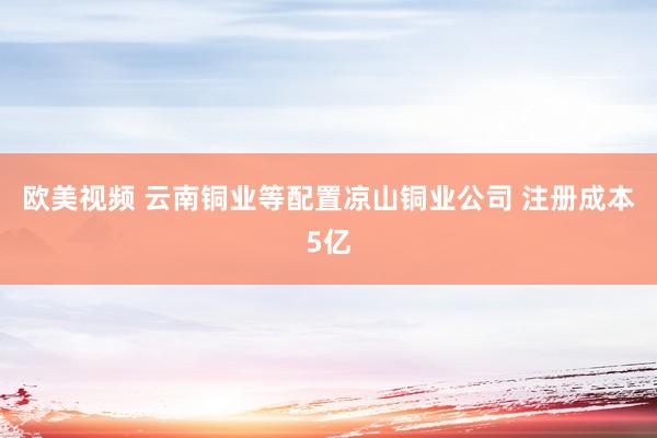 欧美视频 云南铜业等配置凉山铜业公司 注册成本5亿