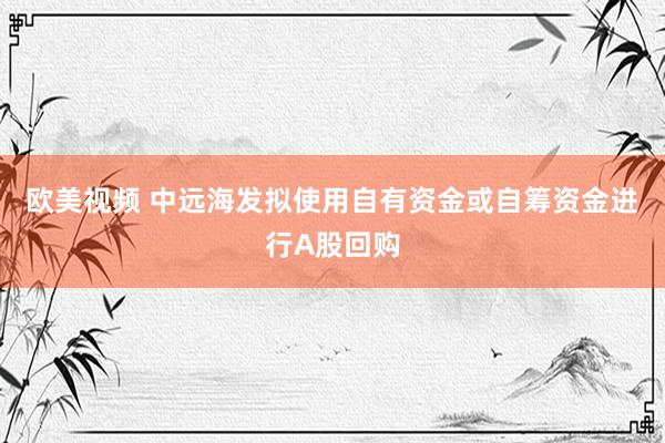 欧美视频 中远海发拟使用自有资金或自筹资金进行A股回购