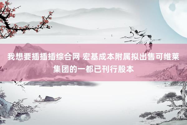 我想要插插插综合网 宏基成本附属拟出售可维莱集团的一都已刊行股本